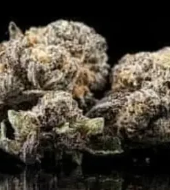 Purple Haze