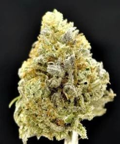 Banana OG