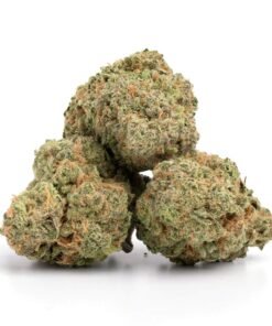 Sweet Island Skunk