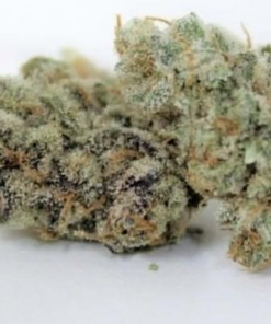 White Fire OG
