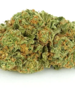 Cherry Pie