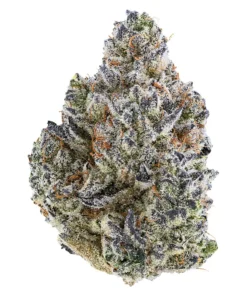 Tribal Bubble Up 3.5g Indica 29.5% | 2.7% Terps