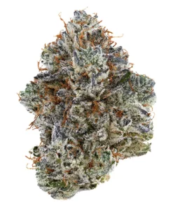 Neon Sunshine 3.5g Hybrid 29.8% | 2.8% Terps